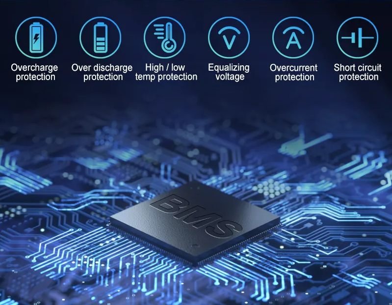 BMS CHIP PIC